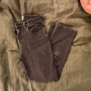 Everlane Cheeky Jean, 28 Crop